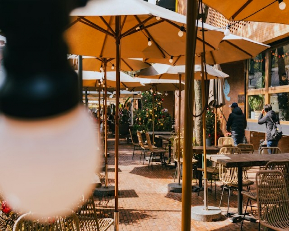 Serdivan ve Erenlerdeki kafe ve restoranlar için dijital menü, web tasarımı ve yerel SEO çözümleri. İşletmenizin cirosunu dijital çözümlerle artırın.